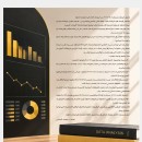 كتاب تحليل البيانات باستخدام power bi  (نسخة الكترونية )